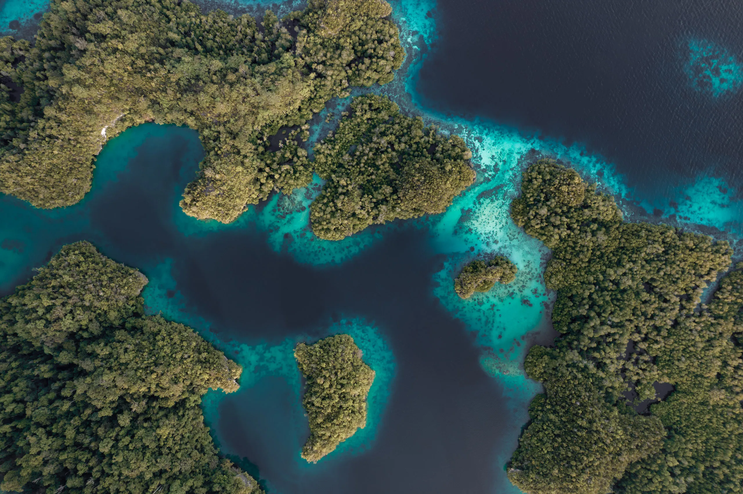 Top-down aerial of forested islets and turquoise channels weaving through Gam Bay