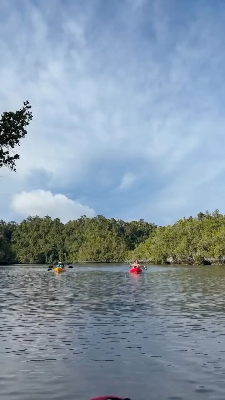 Two kayaks crossing calm water towards a low mangrove shoreline under a wide cloudy sky