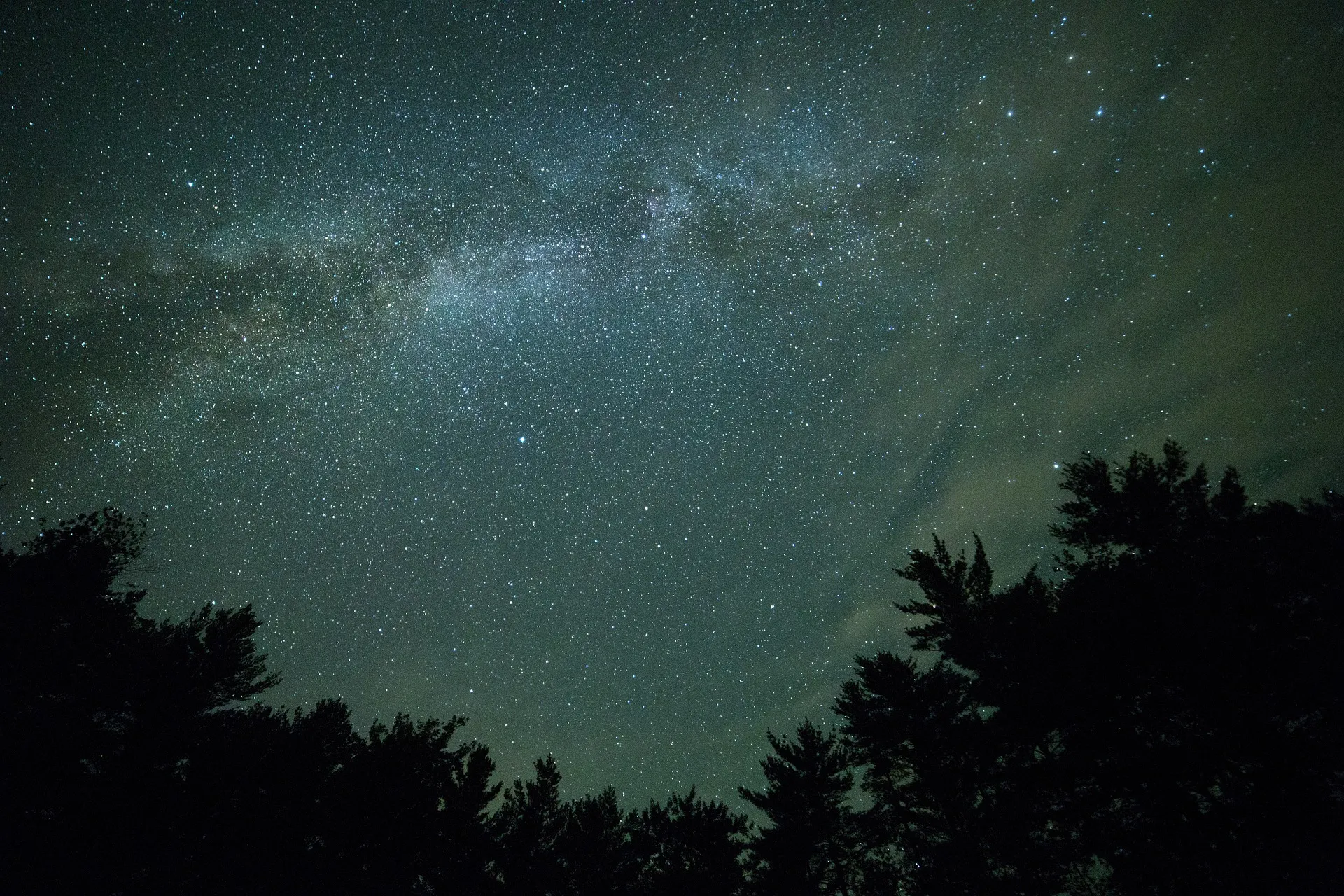 A star-filled night sky with the Milky Way above dark treetop silhouettes
