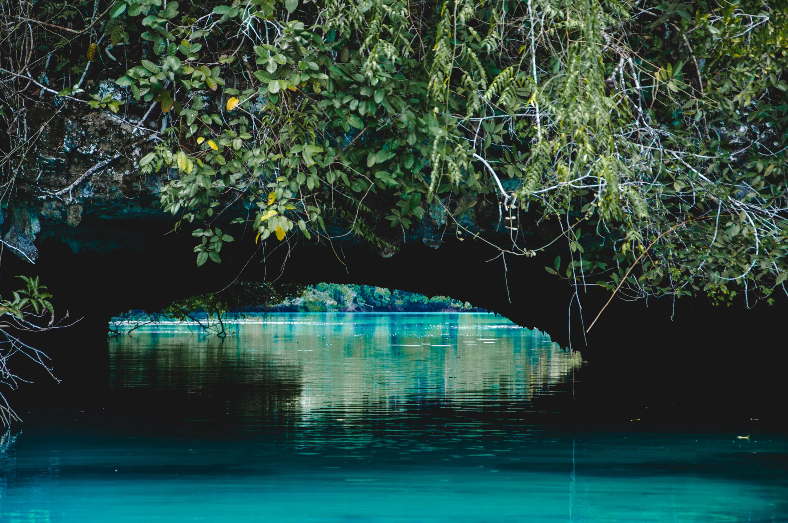 A low rock tunnel overhung with foliage, opening onto still turquoise water